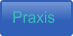Praxis
